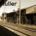 Colin Muller - Sepia - Photography