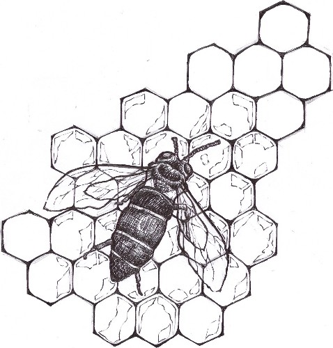 bee